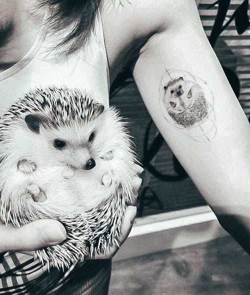 Beauteous Girls Porcupine Tattoos