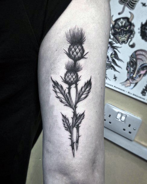 Beauteous Girls Thistle Tattoos