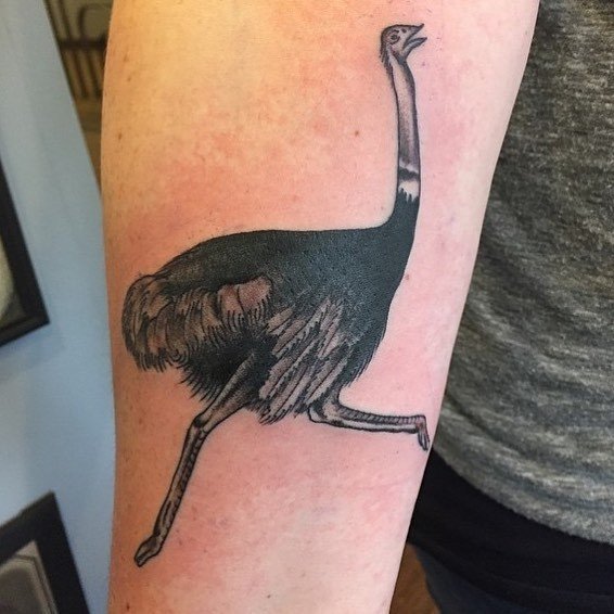 Beautiful Ostrich Tattoo Design Ideas For Women