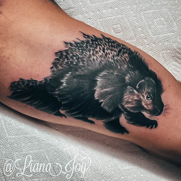 Beautiful Porcupine Tattoo Design Ideas For Women