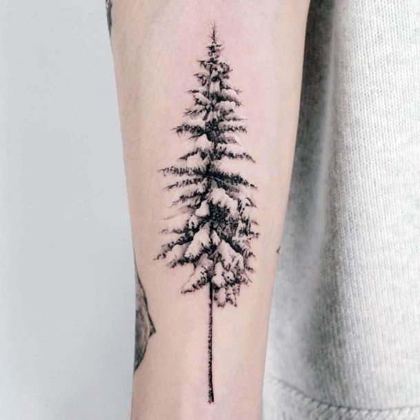 Beautiful Realism Tattoo Design Ideas For Women Snow Covered Pine Cone