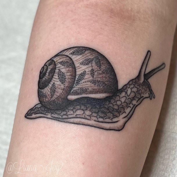 Beautiful Snail Tattoo Design Ideas For Women