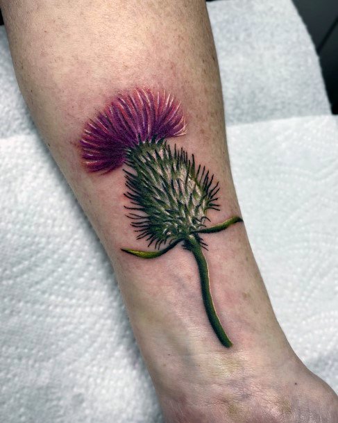 Beautiful Thistle Tattoo Design Ideas For Women