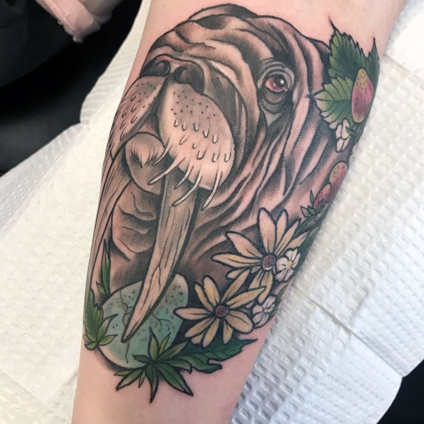 Beautiful Walrus Tattoo Design Ideas For Women