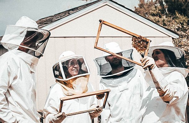 Beekeeping Lessons Date Ideas