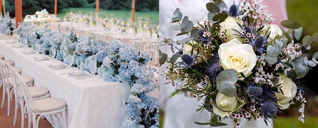Top 50 Best Blue Wedding Flowers – Azure Floral Ideas