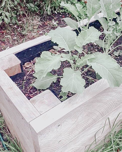 Best Designs For Vegtable Garden Beds