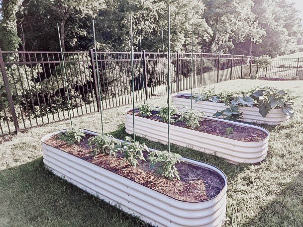 Best Galvanized Raised Garden Bed Ideas