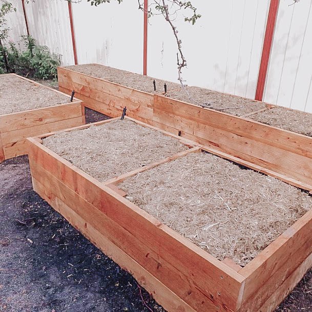 Best Impressive Raised Garden Bed Designs