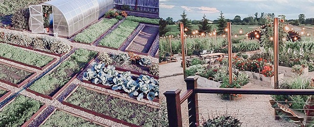 Top 100 Best Raised Garden Bed Ideas – Backyard Homestead Designs