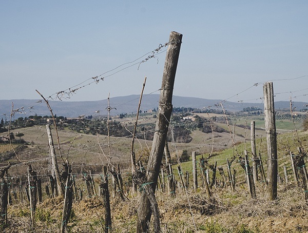 Best Way To Travel La Lastra Siena Italy Wine