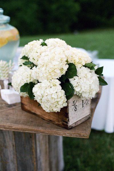 Blooms Of White Hydrangea Wedding Flowers