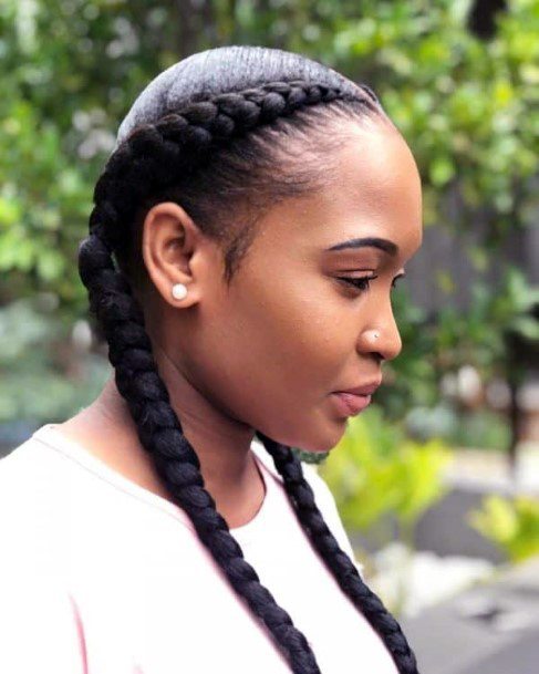 Braided Hairstyles For Black Women Shiny Healthy Hair Dutch Pigtails