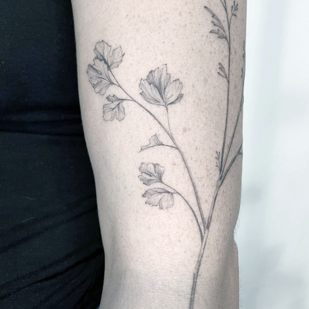 Breathtaking Coriander Tattoo On Girl