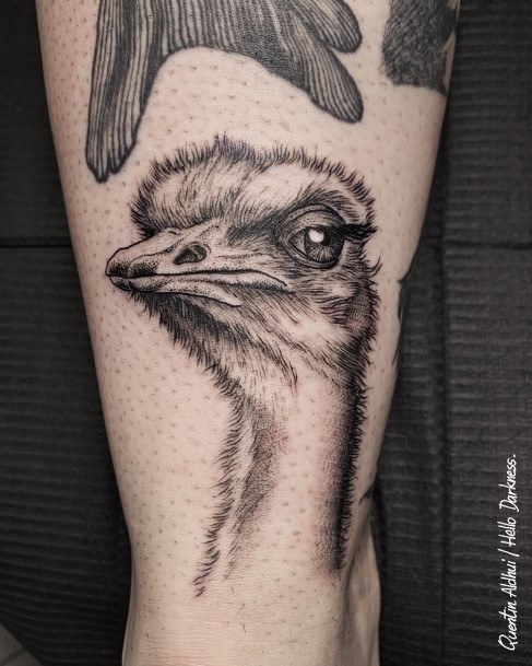 Breathtaking Ostrich Tattoo On Girl