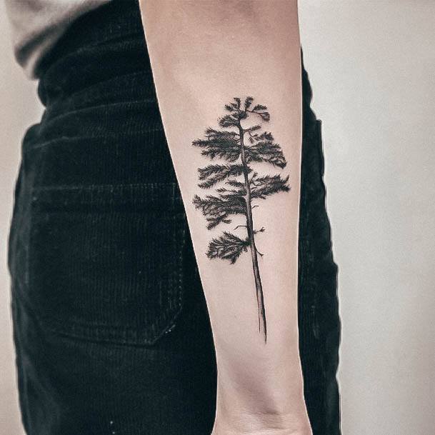 Breathtaking Pine Tree Tattoo On Girl