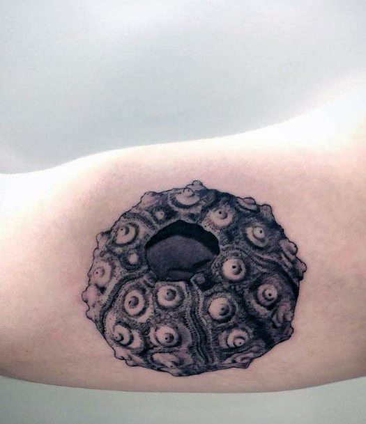 Breathtaking Sea Urchin Tattoo On Girl