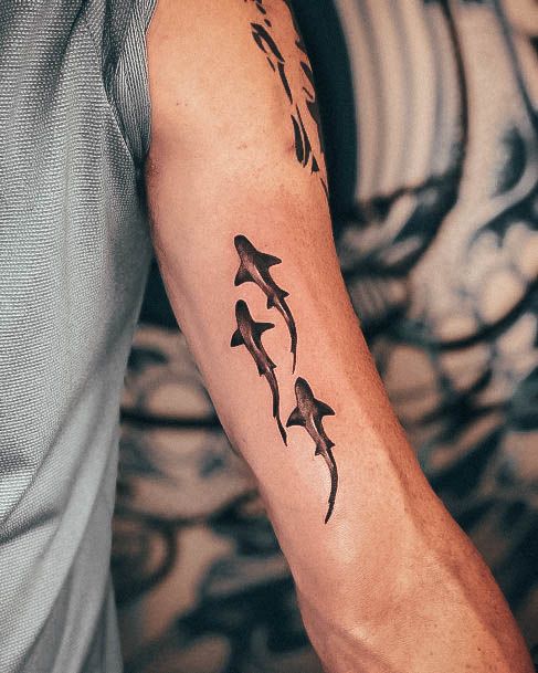 Shark Tattoos  Photos of Works By Pro Tattoo Artists  Shark Tattoos