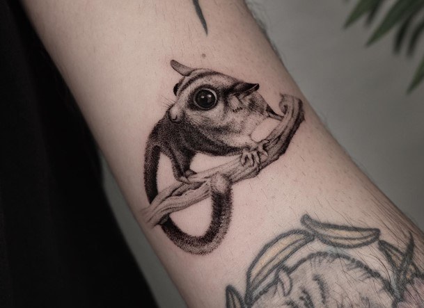 Breathtaking Squirrel Tattoo On Girl