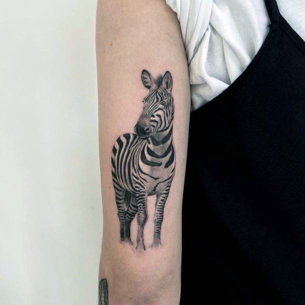 Breathtaking Zebra Tattoo On Girl