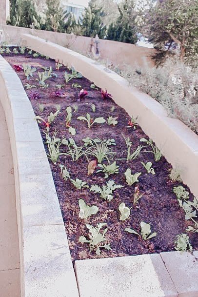 Building Concrete Raised Garden Bed