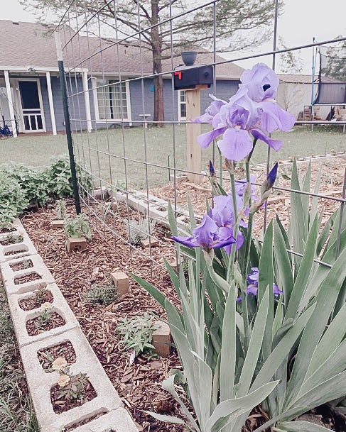 Building Garden Boxes Ideas Cinderblock