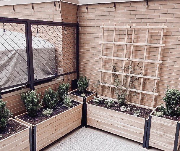 Building Garden Boxes Ideas Modern