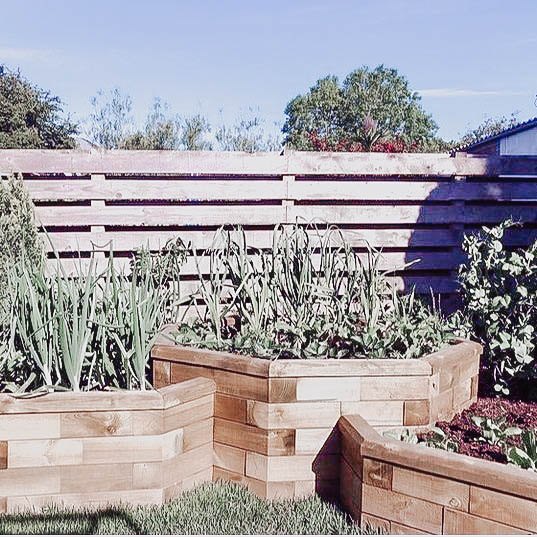 Building Garden Boxes Ideas Wood