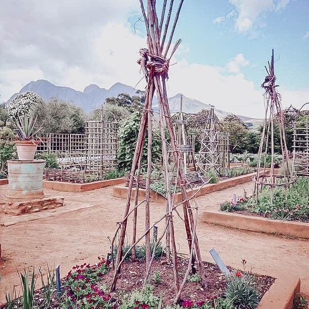 Building Raised Beds For Gardening Best