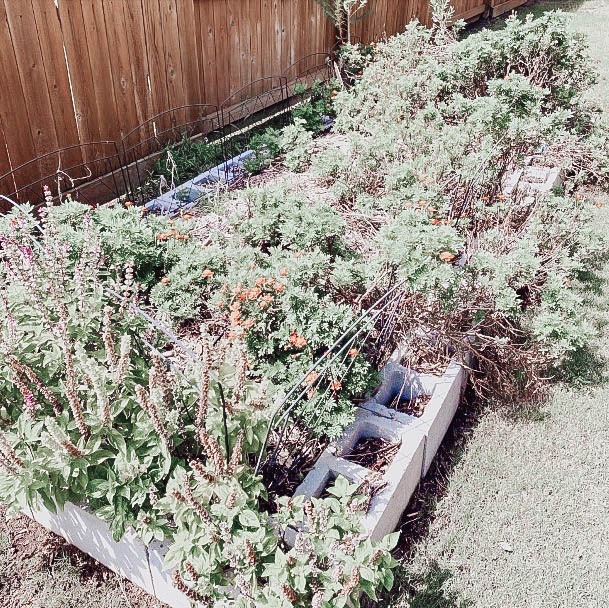 Building Raised Beds For Gardening Cinderblock