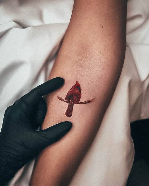 tiny cardinal tattooTikTok Search