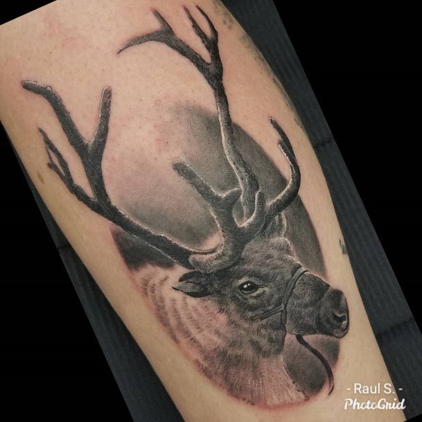 Caribou Reindeer Tattoo For Ladies