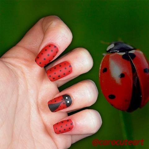 Charming Nails For Women Ladybug