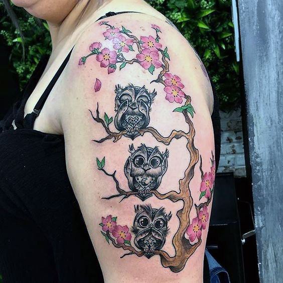 Cherry Blossom And Three Owls Tattoo Womens Arms