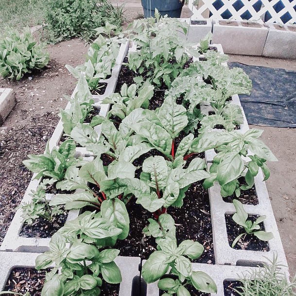 Cinderblock Above Ground Garden Planters