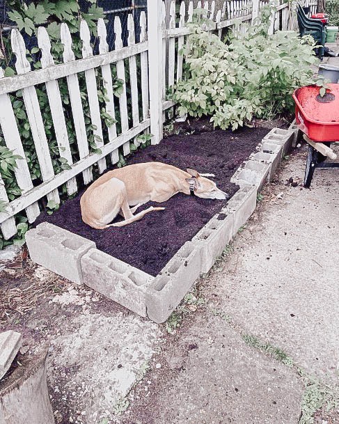 Cinderblock Flower And Garden Bed Ideas