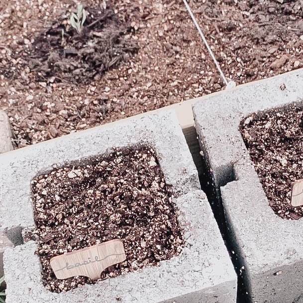 Cinderblock Garden Box Off The Ground