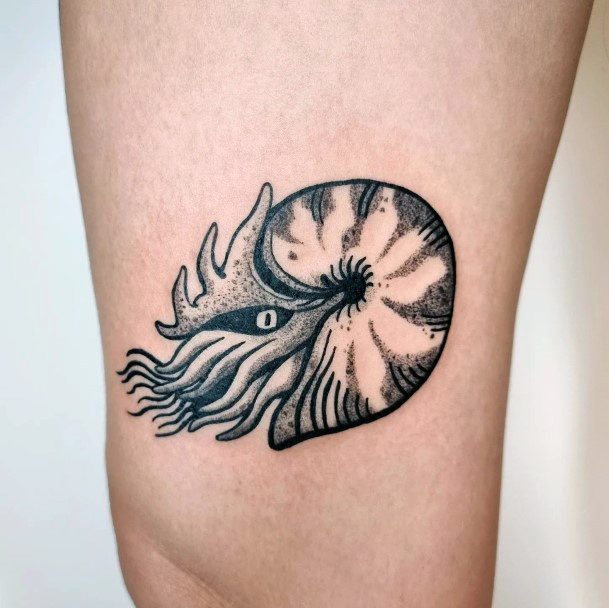 Colorful Womens Nautilus Tattoo Design Ideas