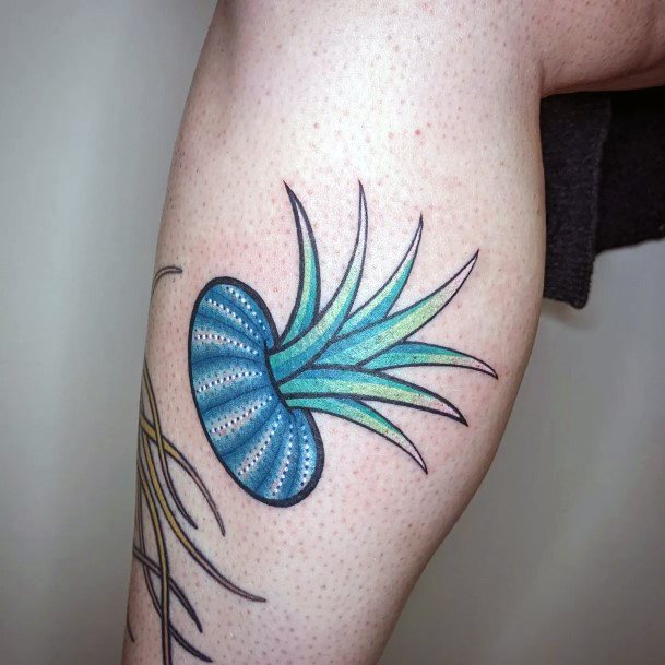 Colorful Womens Sea Urchin Tattoo Design Ideas