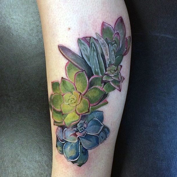 Colorful Womens Succulent Tattoo Design Ideas