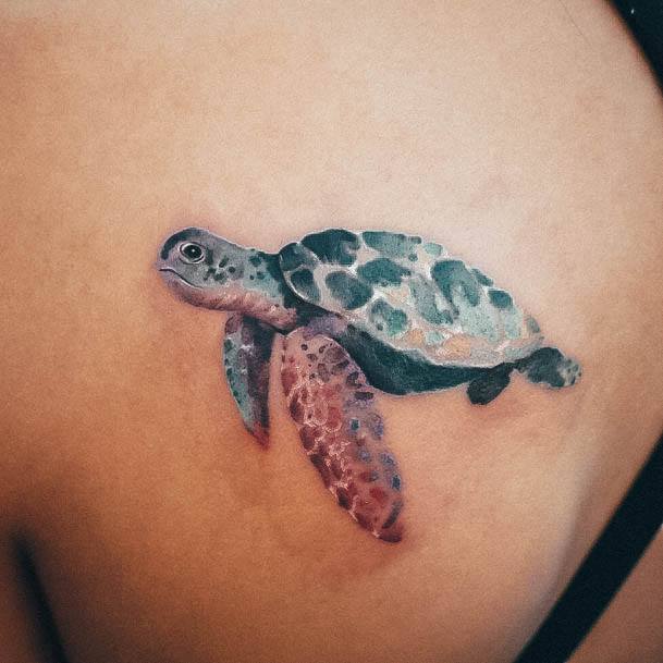 Colorful Womens Turtle Tattoo Design Ideas Shoulder Blade