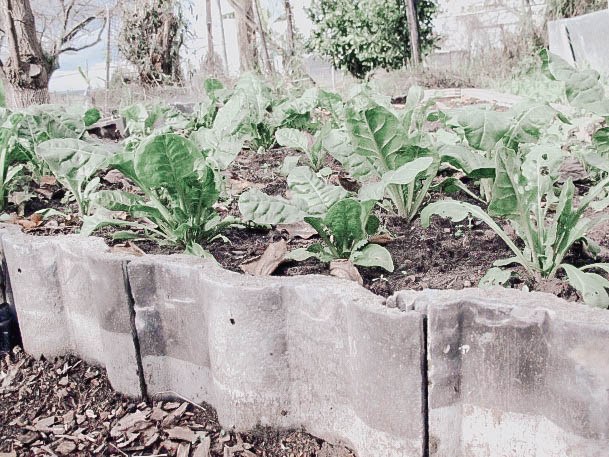 Concrete Designs Raised Garden Bed