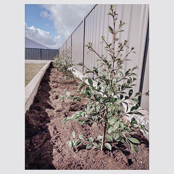 Concrete Raised Garden Bed Inspiration