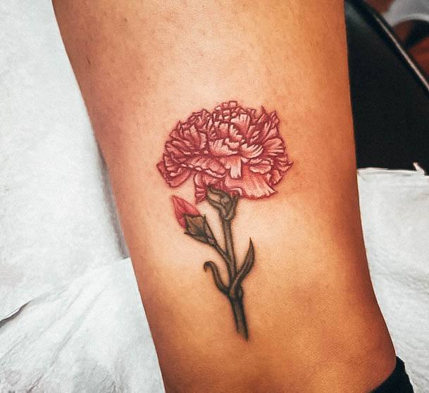 Cool Carnation Tattoos For Women