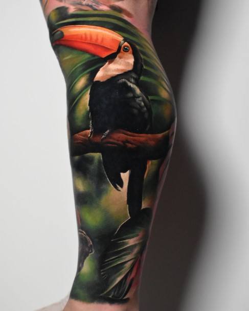 Cool Female Toucan Tattoo Designs