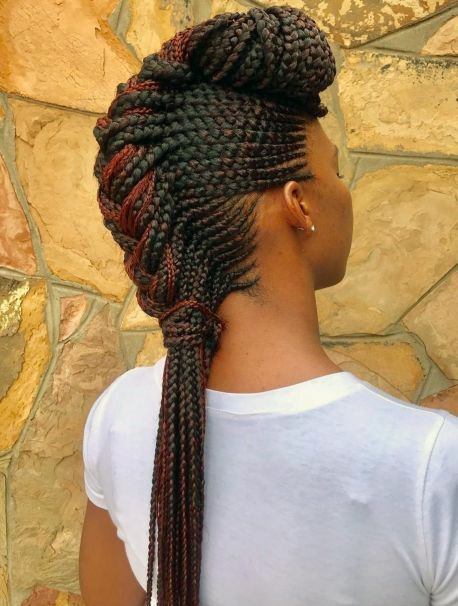 Cool Micro Braid Mohak Ponytail Braided Hairstyles For Black Women