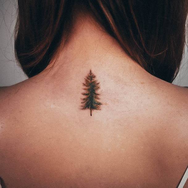 Cool Pine Tree Tattoos For Women