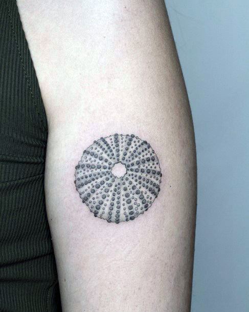 Cool Sea Urchin Tattoos For Women