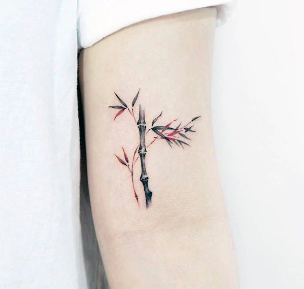 About Bamboo Tattoo | thaibambootattoo