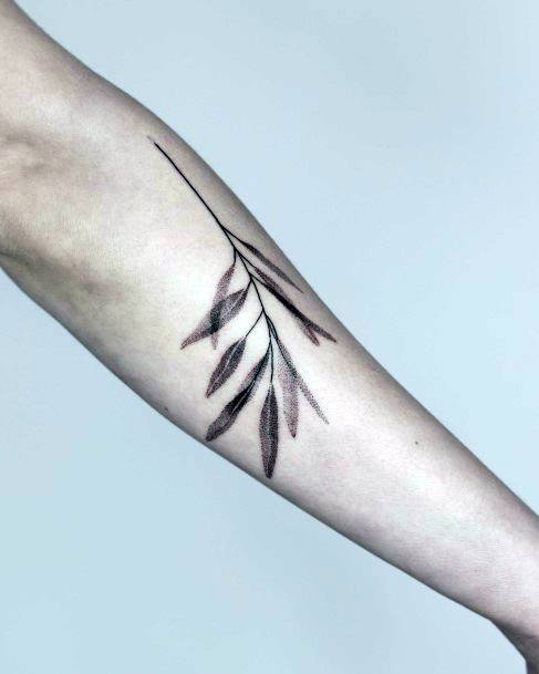 Coolest Females Olive Tree Tattoo